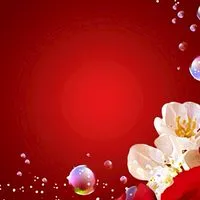 🍒40代からの東北好きな人集まれ🍒🍒東北限定‼️