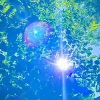 メンタル🍀心の安定