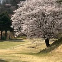 ワイワイYYゴルフ　"兵庫"