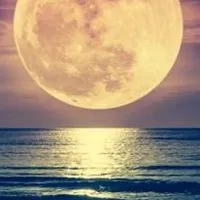 🌕満月のフォーチュン🌙*·̩͙                  50代.60代雑談𝐫𝐨𝐨𝐦恋バナも🤔？