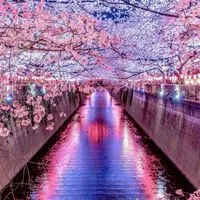 ライブトーク　推しの子あつまれ