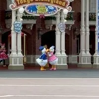 ディズニーダンサーポジ報