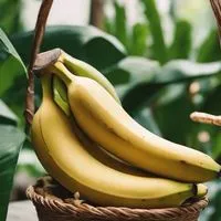 🍌東海 中京🍌30代40代50代🍌地域交流🍌ライブトーク🍌楽しい雑談🍌