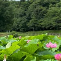 【出雲】不登校・行き渋り関連情報