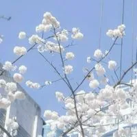大好きだよ！：全夢
