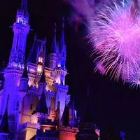 Dオタ集合🐭🏰