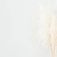【10/1】オンラインヨガスタジオ最新情報