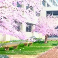 ◸ᑎᗴᗯ◿ ✎。大人学園𖠱꙳教室