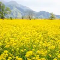 長野県20代30代ためになる集い