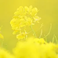 関東50代シングル✨低収入の人の集い