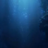 全也｜深海を泳ぐ