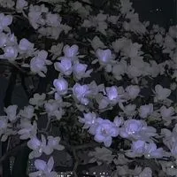 アニメ映画制作