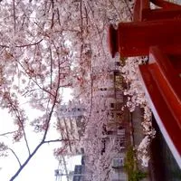 【学生限定】みんなで恋バナや最近の出来事など話そう！