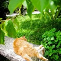 九州フォトウォーク