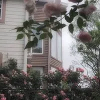 生活音＆雑談room…♪