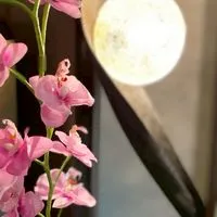アユナタ🌺ダイエットチャレンジ部