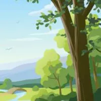 東海　50代〜🍀森の妖精たちの戯言🍀