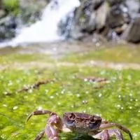 生き物の話をしよう