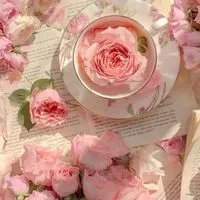 🌹50代集合⭐️雑談＆恋花しましょ🌹