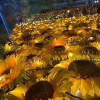 ⋆⸜🌻⸝‍⋆40代からの雑談部屋⋆⸜🌻⸝‍⋆