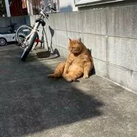 不登校・通信いつめん募集