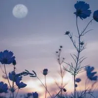 ~夕蝉本丸~ 緩也