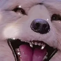 仲良くしよやー