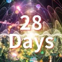 28Days無料セミナー