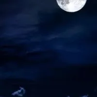 鬼滅の刃 【 なりきり 】