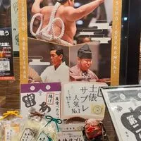 大相撲コレクションであそぼ🎵