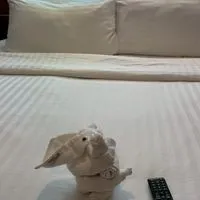 子連れクルーズ情報交換