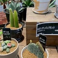 ❁⃘*.ﾟ東北50代〜70代の癒しカフェ❁⃘*.ﾟ