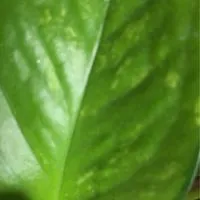スピリチュアル目醒め始めてる人々w☺︎真実のスピリチュアル。眠り。目醒め。波動上げ↑↑