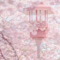 生活音学園