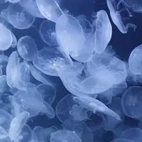 一生愛されると思ってたよ : 全緩也ハント