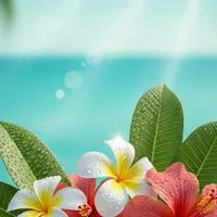 🌿癒しの小部屋🏡 ～ この先どう楽しく生きるか🤭   50代60代～