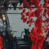 ✿ポケモンなりきり！ツバキ地方︵✿