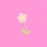 【30】はなキャリ