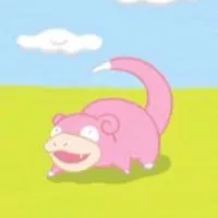 ポケポケ対戦・トレードしましょ‼️