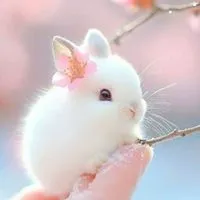 😄障がい者、健常者の家族部屋お願いします。