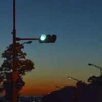 とりブラザーズ