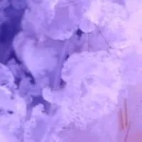 ２３：５９ 限定 ハントって ~𓏸𓈒🎀🤍𝒦𝒪𝒯𝒪🤍🎀𓈒𓏸~　:　全緩也 ‼️ ✋🏻