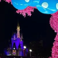 気軽にディズニーインパ（オトナディズニー）