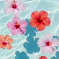 🍹大人の恋ばな雑談カフェ🍹