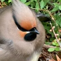 還暦からの和みのお部屋