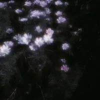 KMT   *   マシュマロ♩絡募♩炉留練習