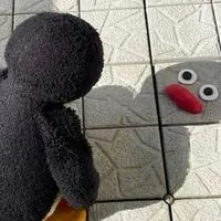 🌸学生限定🌸！！雑談・歌枠・恋バナ・勉強など！