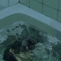 @  ⌒   ⌒  折  恋  🗣