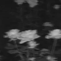 全 也 ♱·.༝