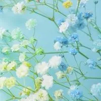 🎶シニア女性同士で楽しくおしゃべり🎶 【50歳以上女性限定】